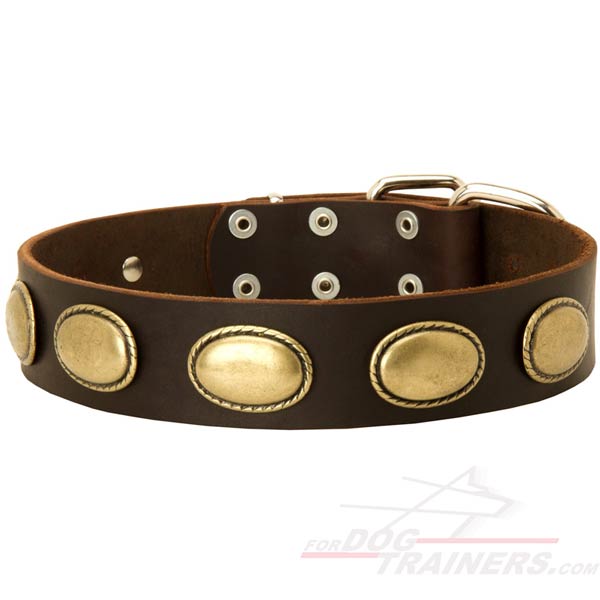 Decorated Leather Bullmastiff Collar with Oval Plates