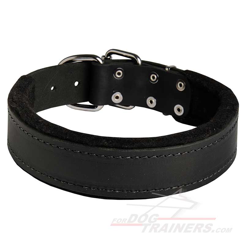 Comfortable Felt Padded Leather Bullmastiff Collar
