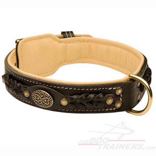Soft Nappa Padded Leather Bullmastiff Collar with Braided Design