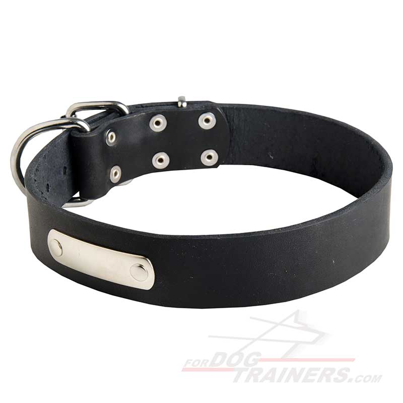 Classy Leather Bullmastiff Collar with ID Tag
