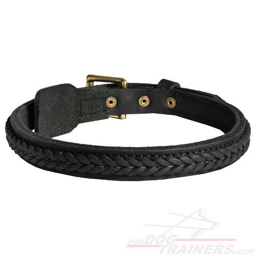 Elegant Braided Leather Bullmastiff Collar