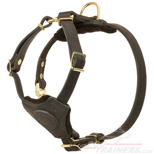 Small Leather Bullmastiff Harness for Puppies