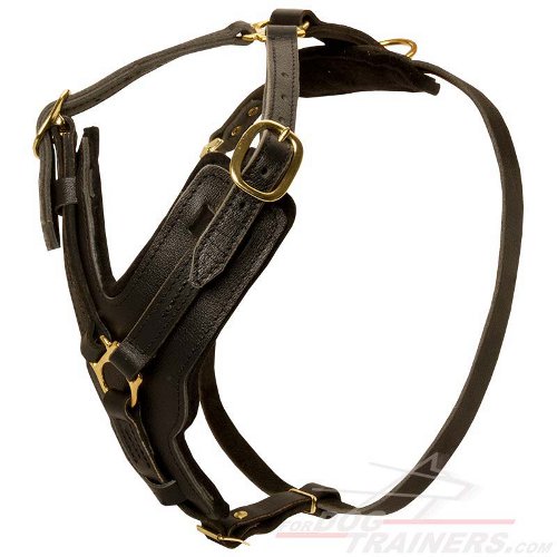 Training and Walking Leather Bullmastiff Harness