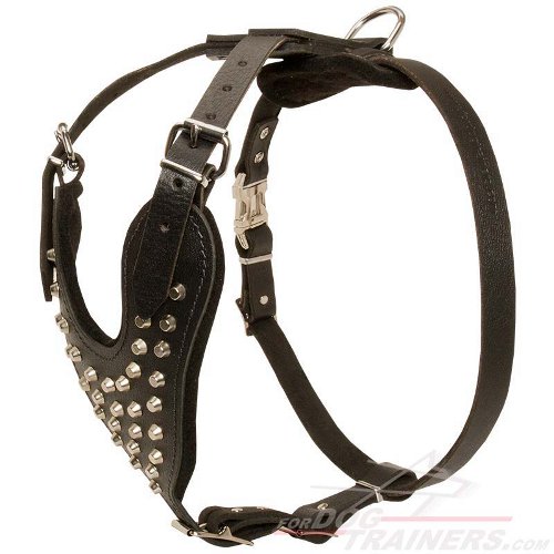 Leather Bullmastiff Harness with Pyramids for Daily Walking