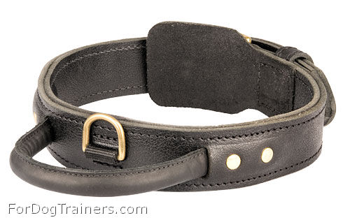 Comfortable Leather Bullmastiff Collar with Handle