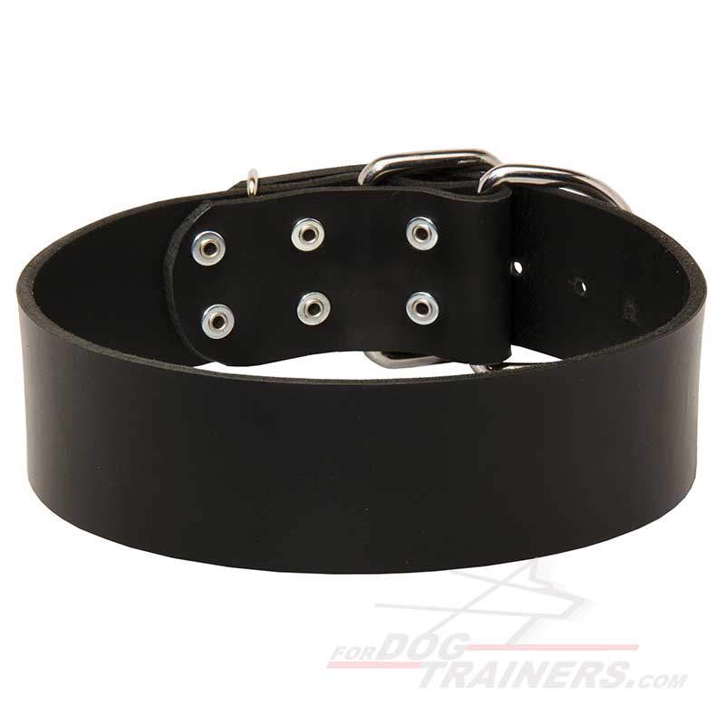 Classy Extra Wide Leather Collar for Bullmastiff