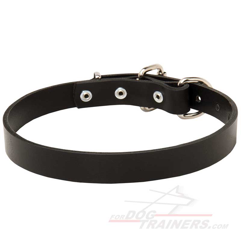 Narrow Leather Bullmastiff Collar
