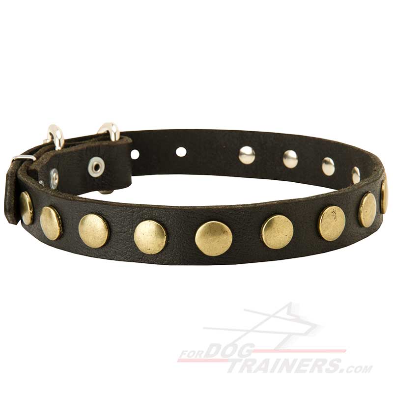 Gorgeous Leather Bullmastiff Dog Collar