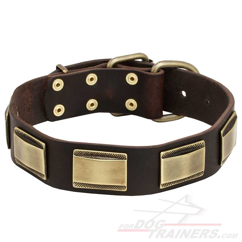 Vintage Leather Bullmastiff Collar with Massive Decor