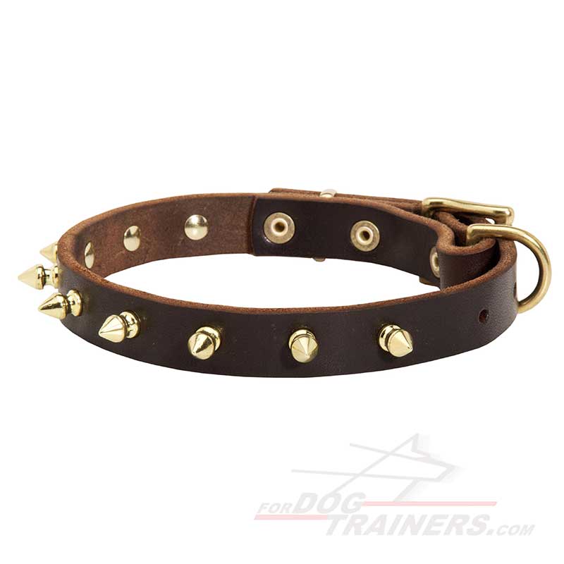 Stylish Leather Bullmastiff Collar with Brass Spikes