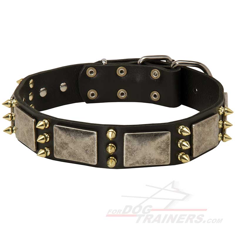 Walking Leather Bullmastiff Collar with Spikes and Old-looking Plates