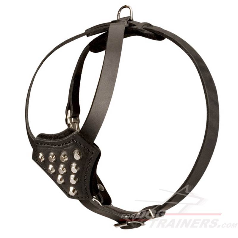 Studded Design Leather Dog Harness for Small Bullmastiffs