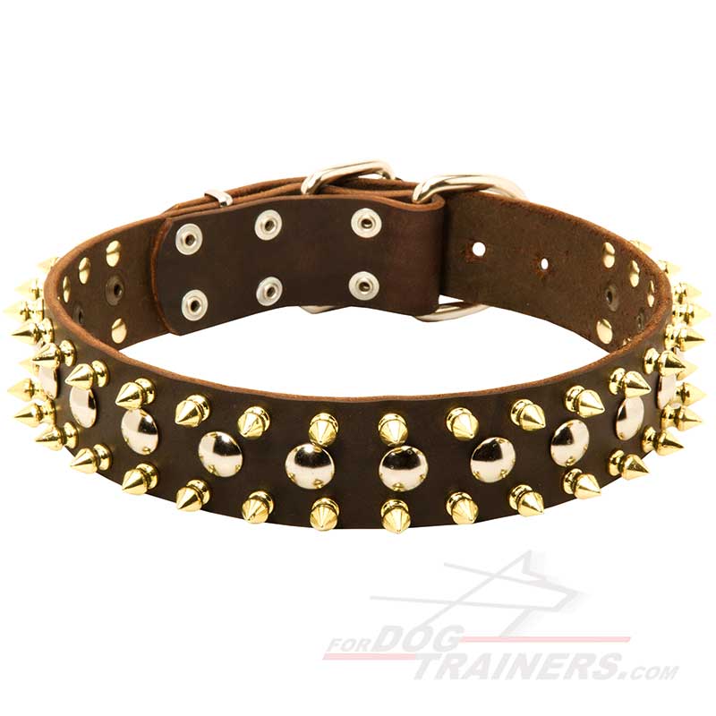 Leather Bullmastiff Collar with Nickel Studs and Brass Spikes