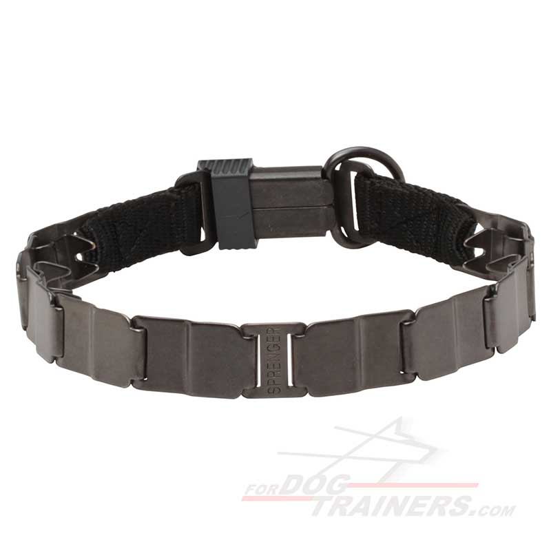 'Gentle Kind' Neck Tech Sport Bullmastiff Pinch Prong ollar