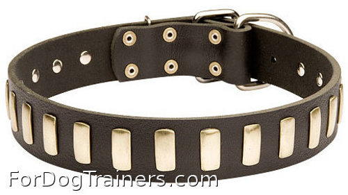 Gorgeous Wide Bullmastiff Leather Collar with Plates
