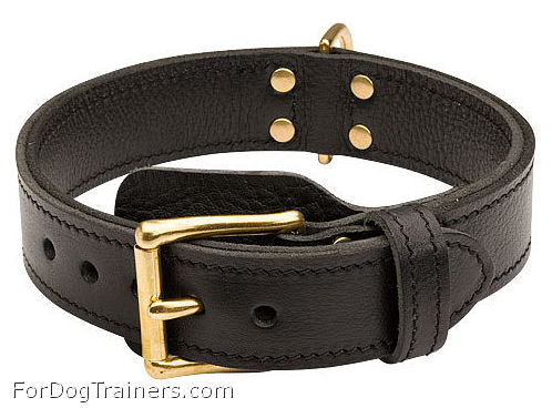2 Ply Adjustable Wide Leather Bullmastiff Collar