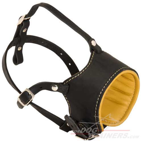 Royal Nappa Leather Bullmastiff Dog Muzzle