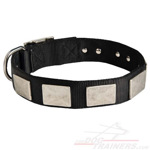 Practical Nylon Bullmastiff Collar with Plates