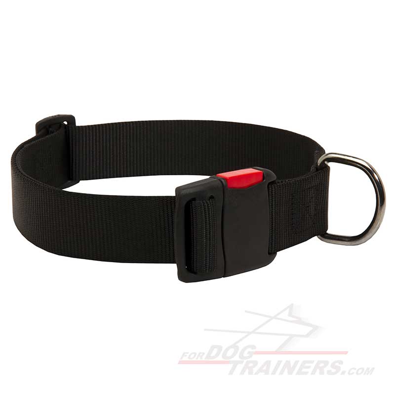 All Weather Nylon Bullmastiff Collar