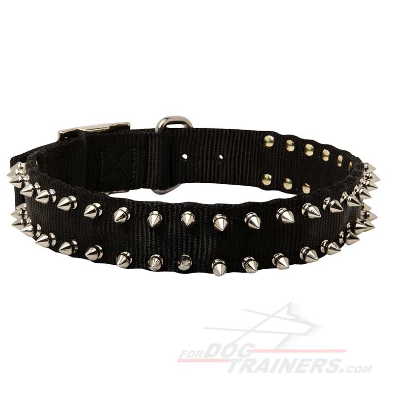 Black Nylon Spiked Bullmastiff Dog Collar