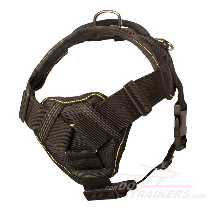 Everyday Nylon Bullmastiff Harness for Tracking / Pulling Activities