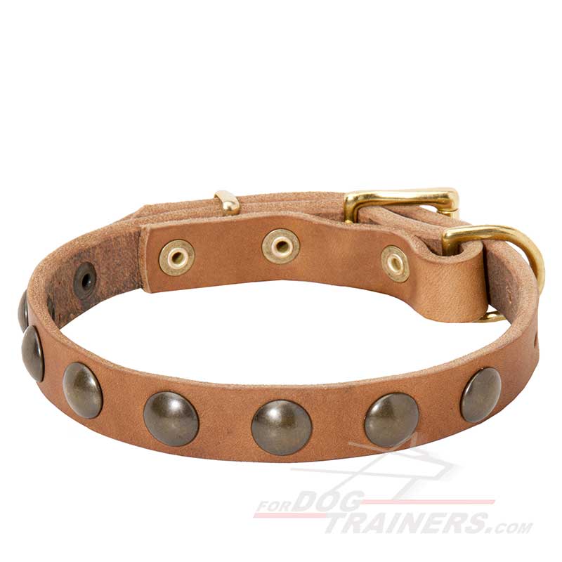 Reliable Leather Bullmastiff Collar with Brass Studs