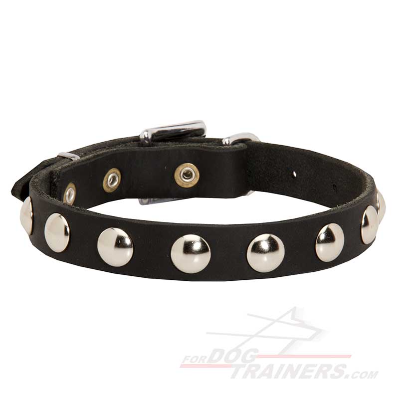 Classy Leather Bullmastiff Collar with Half Ball Studs