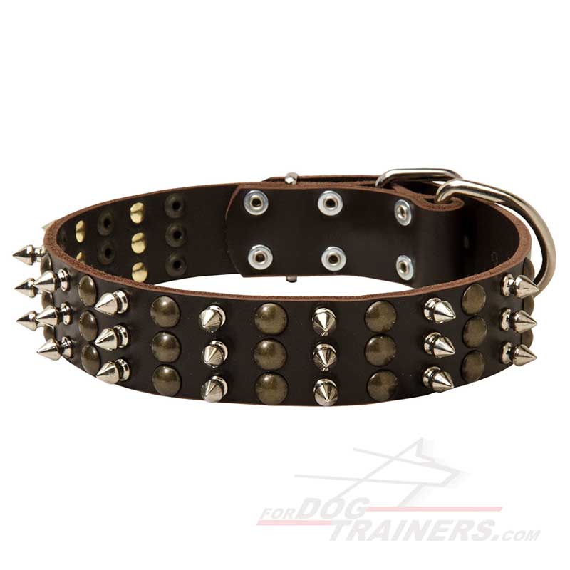 Trendy Leather Bullmastiff Collar with studs and spikes