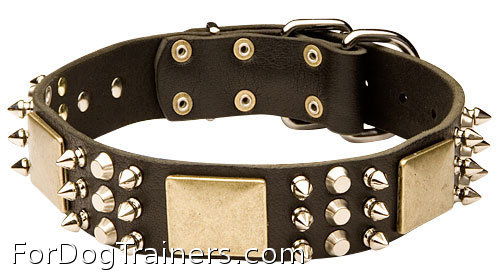 Exclusive Leather Collar with Luxury Decorations