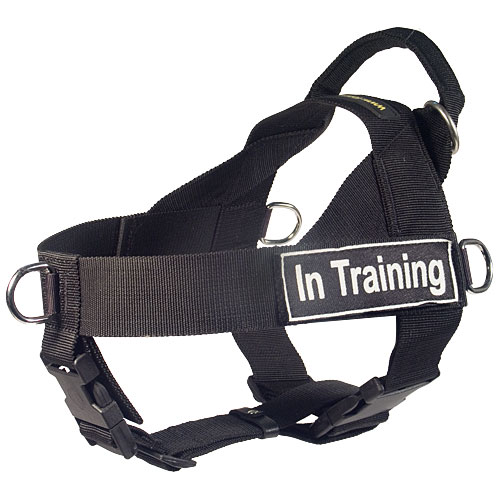 SAR Lightweight Nylon Bullmastiff Harness for Working Dogs