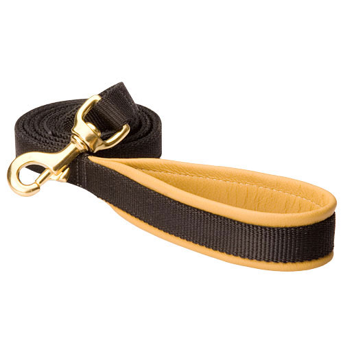 All Weather Nylon Bullmastiff Leash