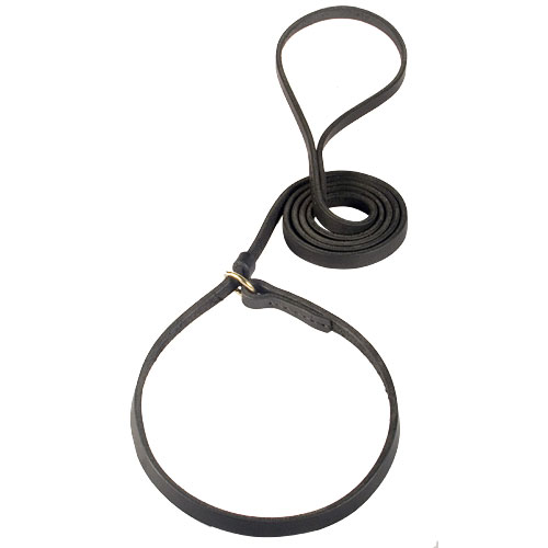 Leather Leash and Choke Collar Combination