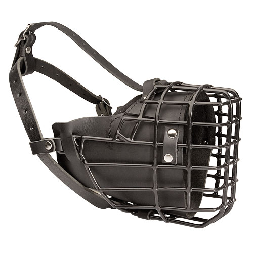 Black Rubber Covered Wire Cage Muzzle for Bullmastiff Winter Dog Walking