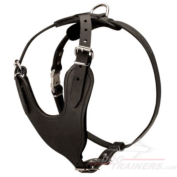 Multifunctional Leather Bullmastiff Harness for Daily Use