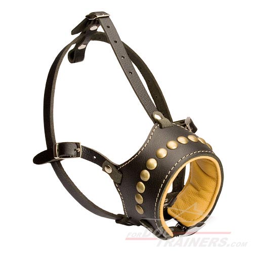 Padded Bullmastiff Dog Muzzle with Brass Studs - Click Image to Close