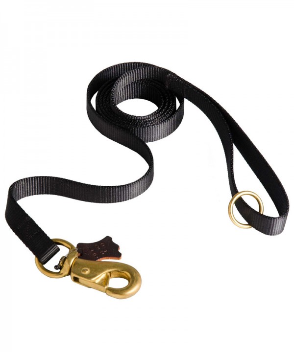 Multifunctional Nylon Leash for Bulmastiff - Click Image to Close