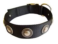 Stylish Nylon Bullmastiff Collar with Conchos