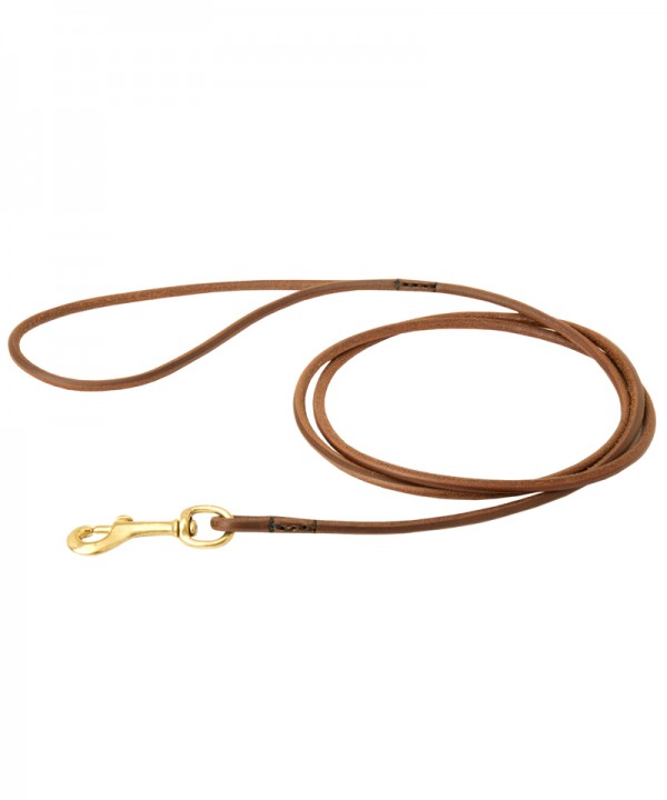 Bullmastiff Round Leather Leash for Dog Shows
