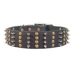 2 2/5 inches extra wide Leather Studded Bullmastiff Collar
