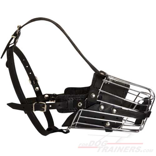 Metal Cage Dog Muzzle for Bullmastiff Training and Walking